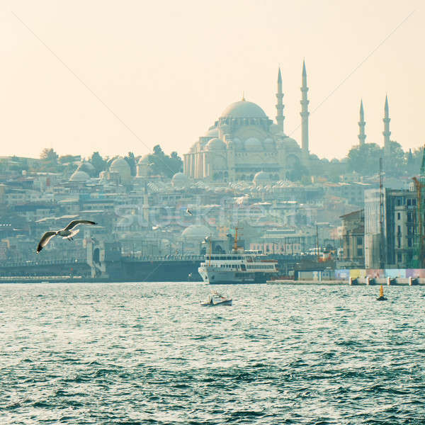 Isztambul Törökország panorámakép kilátás gyönyörű város Stock fotó © artjazz