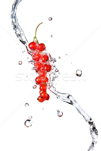 redcurrant and water drops isolated on white Stock photo © artjazz