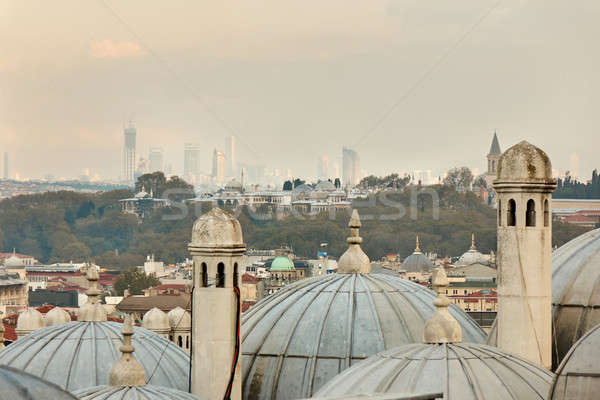 視圖 拱頂 清真寺 伊斯坦布爾 土耳其 城市 商業照片 © artjazz