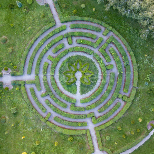 Aerial view of a natural labyrinth round shape in the garden. Photo from the drone. Stock photo © artjazz