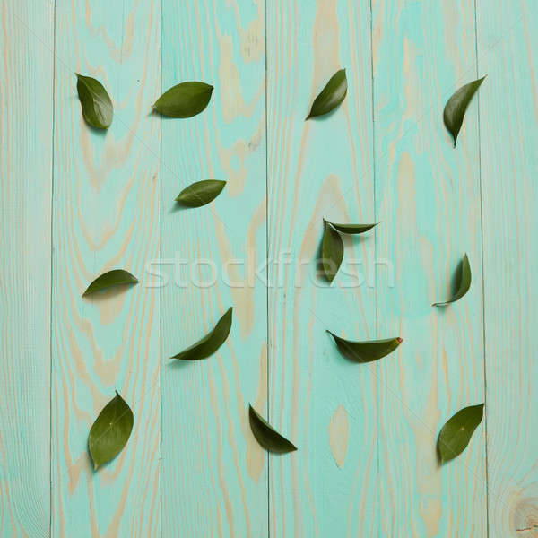 Background decorated leaves Stock photo © artjazz