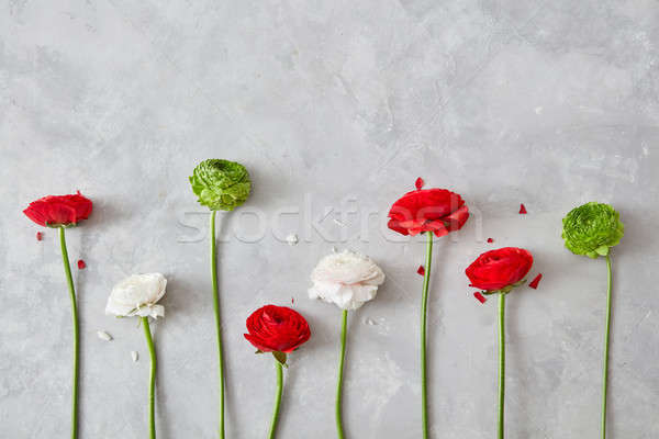 Foto stock: Hermosa · diferente · flores · gris · blanco · rojo