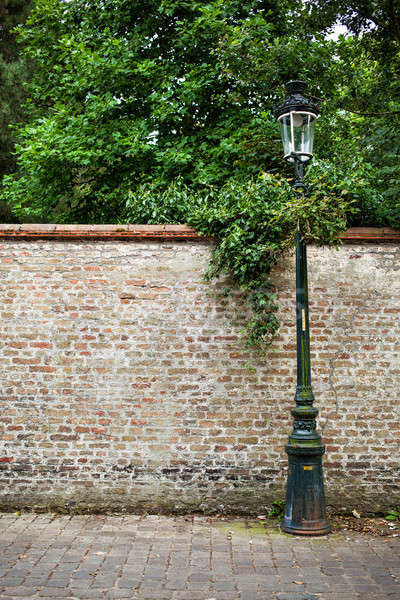 Linterna gris pared hiedra pared de ladrillo vertical Foto stock © artjazz