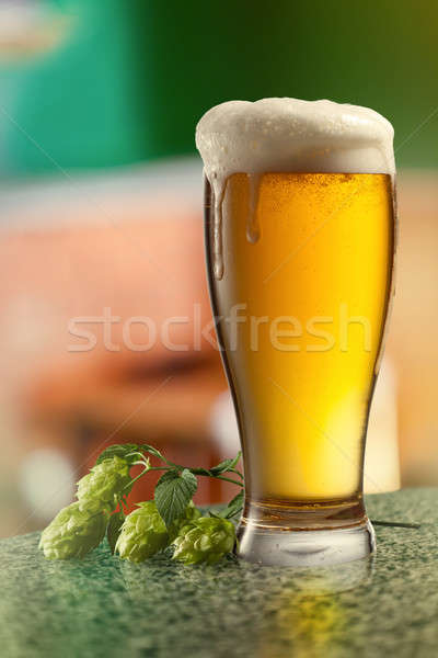 Glassof keg of beer and hops. Stock photo © artjazz