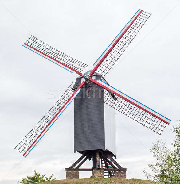 Wind Mühle Gras Stadt Natur grünen Stock foto © artjazz