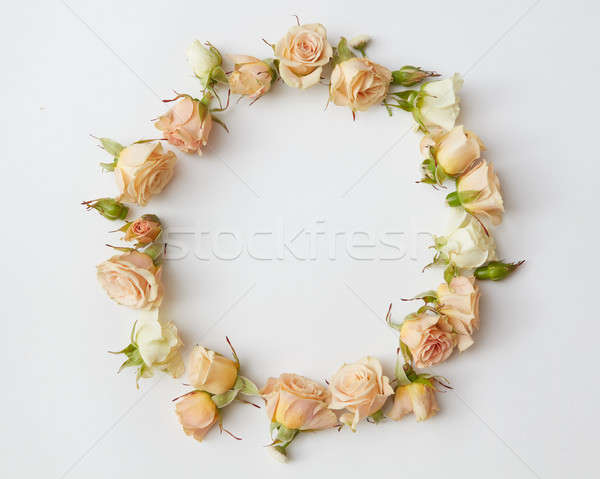 Stock foto: Rosen · Blätter · isoliert · weiß · Ansicht · Hochzeit