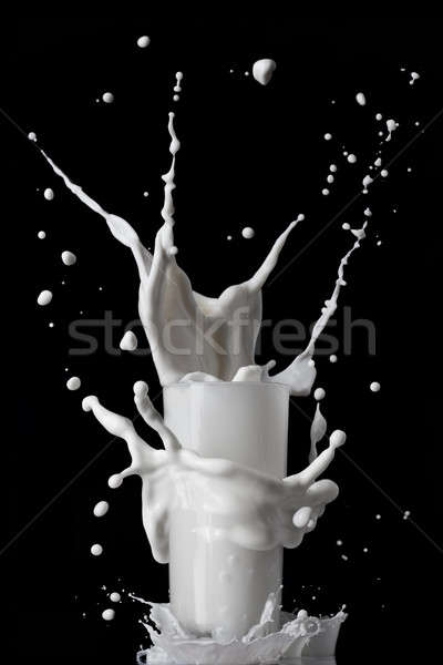 Melk splash glas geïsoleerd zwarte voedsel Stockfoto © artjazz
