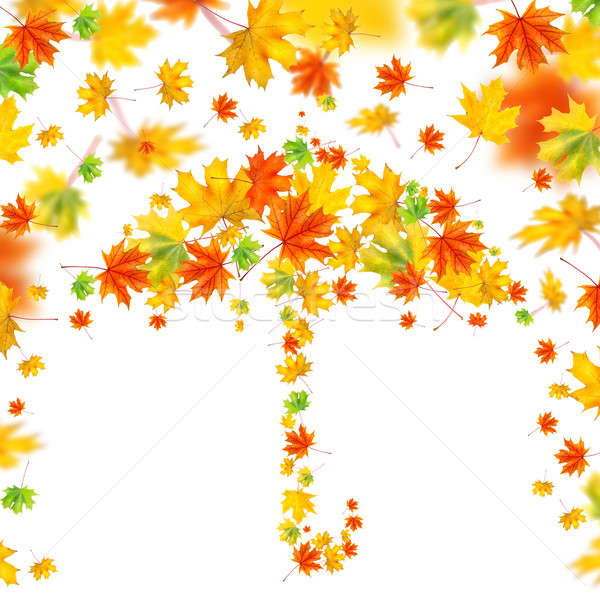 umbrella from autumn leaves isolated on white Stock photo © artjazz