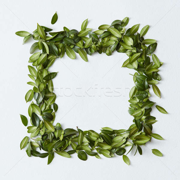 Stock photo: Leaves in square shape