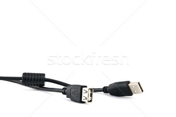 Usb cable isolated on white Stock photo © artjazz