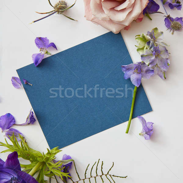 Keret tavaszi virágok kék darab papír szöveg Stock fotó © artjazz