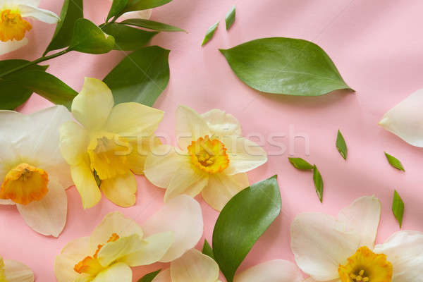 белые цветы Top мнение белый желтые цветы розовый Сток-фото © artjazz