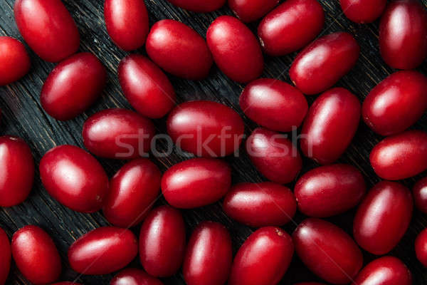 Dogwood red berries Stock photo © artjazz