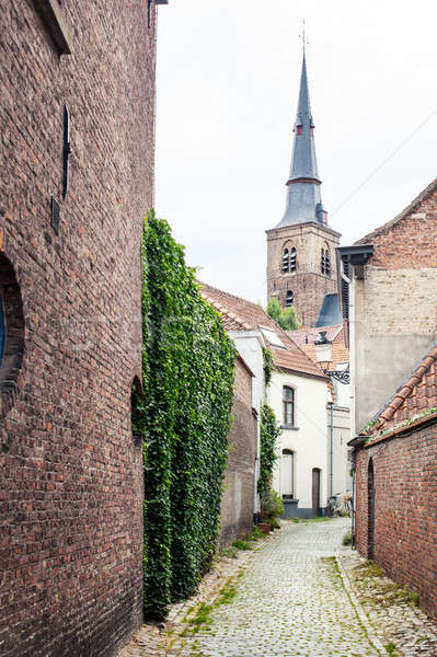 Old street in Bruges, Belgium Stock photo © artjazz