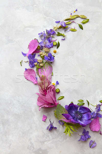Composition of flowers on grey background Stock photo © artjazz