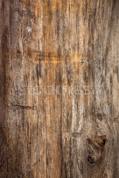 wood texture Stock photo © artjazz