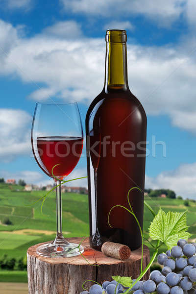 Glass of red wine and bottle on stump isolated on white Stock photo © artjazz
