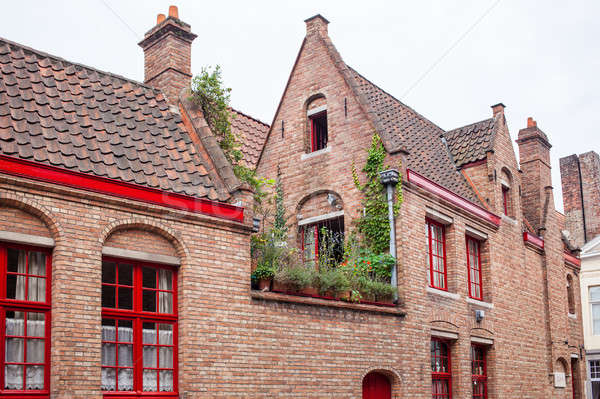 Hause of the Historic Centre Stock photo © artjazz