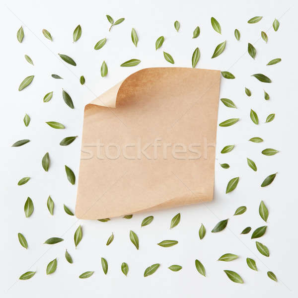 old craft paper Stock photo © artjazz