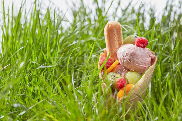 [[stock_photo]]: Crème · glacée · fruits · gaufre · cône · savoureux · baies