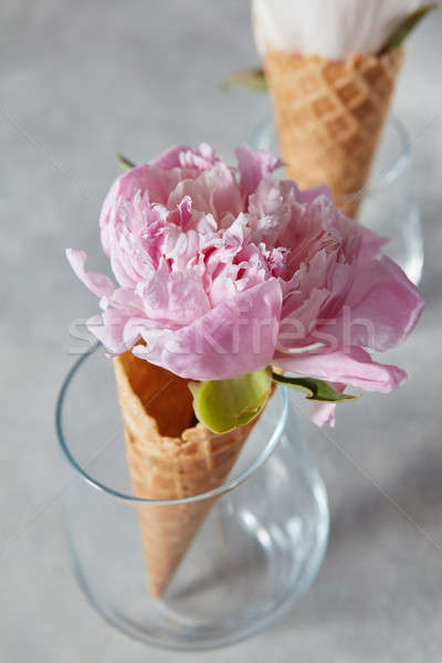 Stock photo: Delicate pink peony flower in a wafer cone in a glass standing o