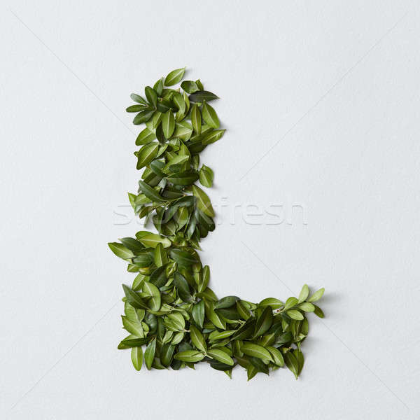 Alfabet brieven bladeren Engels geïsoleerd witte Stockfoto © artjazz