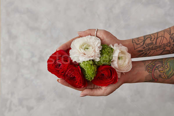 Hand with Tattoo Holding Red Rose Flower  Free Stock Photo