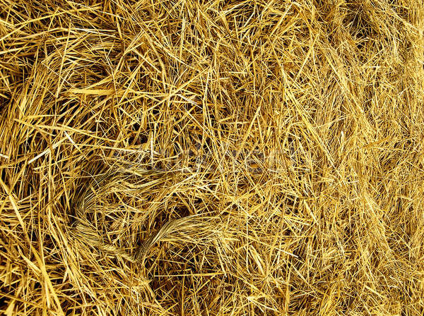 商业照片: 稻草    质地    性质    背景    农场    颜色 / straw