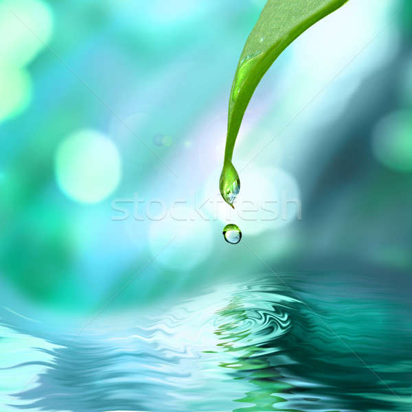 Imagine de stoc: Verde · frunze · picătură · de · apă · apă · albastru · însorit · primăvară