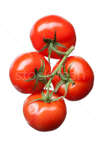 bunch of red tomatoes isolated on white Stock photo © artjazz