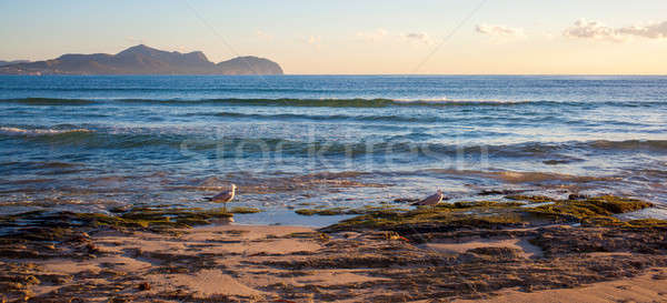 Coucher du soleil mer majorque peuvent Espagne [[stock_photo]] © artjazz