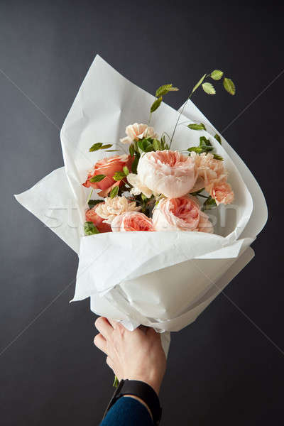 Beautiful pink roses Stock photo © artjazz