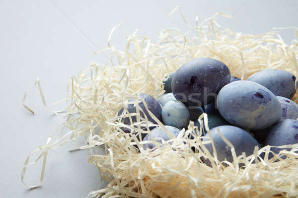 Blue eggs in nest Stock photo © artjazz