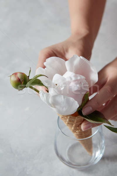 Female hands put in a glass beaker a wafer cup with a beautiful  Stock photo © artjazz