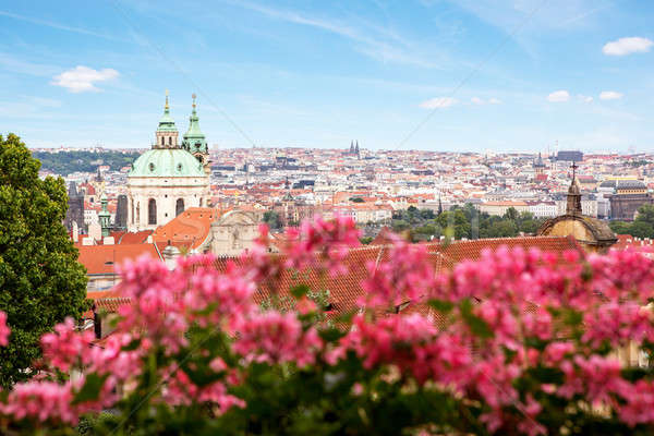 View on the Prague with St. Nicholas' Cathedral Stock photo © artjazz