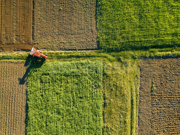 Stockfoto: Luchtfoto · vogels · oog · agrarisch · velden