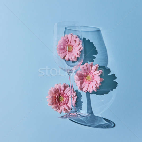 Glass of wine with pink gerberas on a blue background Stock photo © artjazz