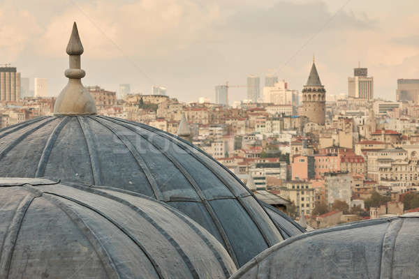 View of dome of the mosque, Istanbul, Turkey Stock photo © artjazz