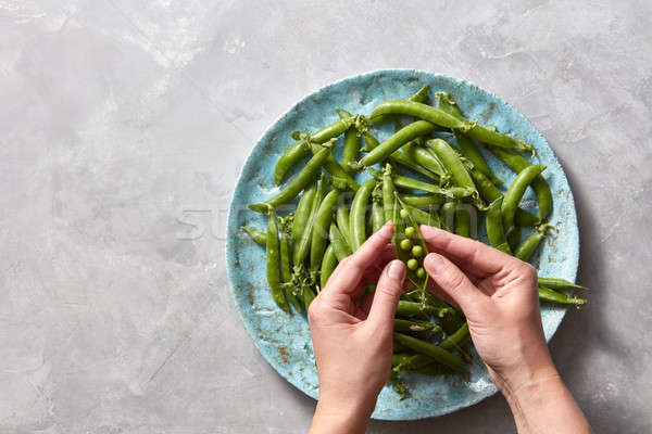 Female hands open young pea sticks. Natural green vegetables for cooking healthy food on a gray marb Stock photo © artjazz