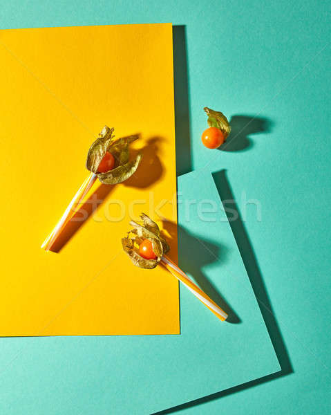 Flat lay view of the pattern of three yellow physalis fruit and plastic straws for juice with shadow Stock photo © artjazz
