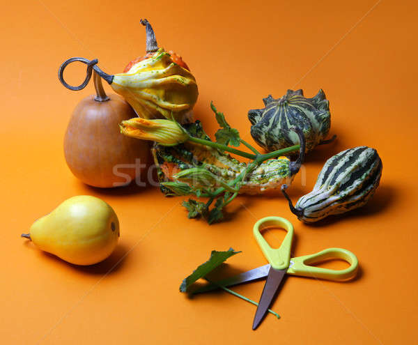 composition of decorative pumpkins and pears Stock photo © artjazz