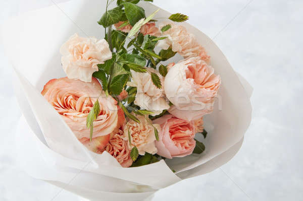 Beautiful pink roses Stock photo © artjazz