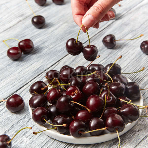 Ripe sweet cherry in the white plate on a gray wooden background. Womens fingers holding berries ove Stock photo © artjazz