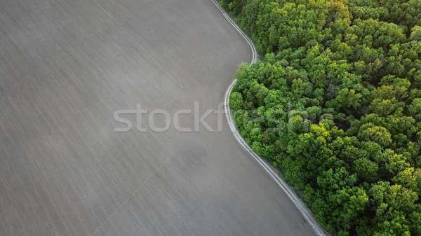 Stock photo: Aerial view from the drone, a bird's eye view to the forest with green spaces and agricultural field