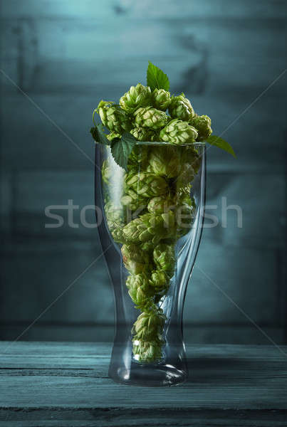 Dried hops in a glass Stock photo © artjazz