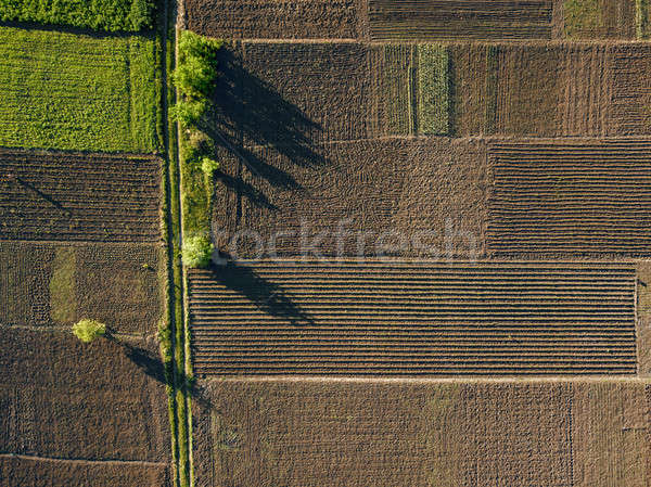 aerial photo of agro, summer view of green land with fields and gardens. Stock photo © artjazz