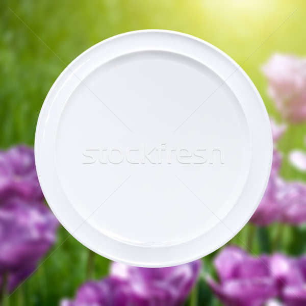 White plate against pink tulips with sun beam Stock photo © artjazz