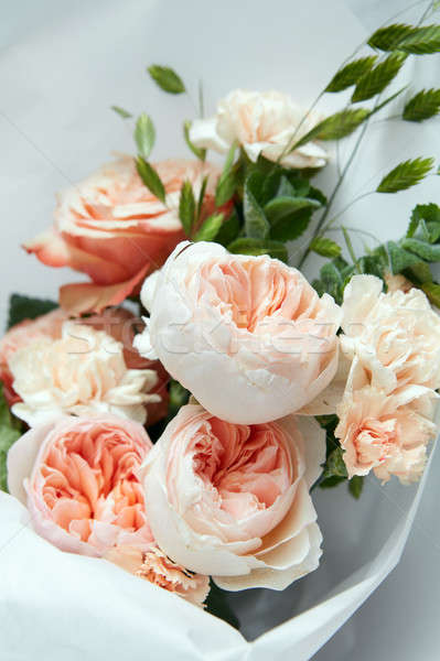 Beautiful pink roses Stock photo © artjazz