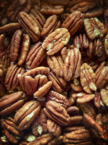 Lots of raw organic pecan nuts. Pecan background. Stock photo © artjazz