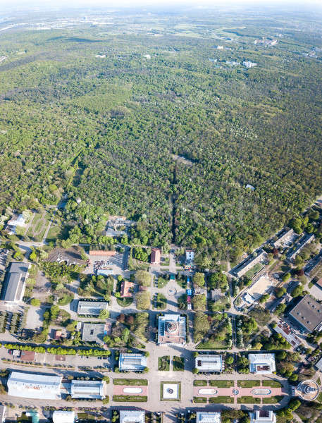 Foto stock: Horizonte · céu · verde · floresta · ver · praça